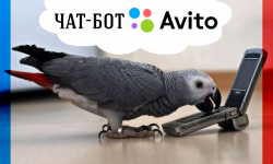 Чат-Бот Кеша занимается рассылкой по Авито