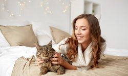 Копирование Авито объявлений между личными кабинетами